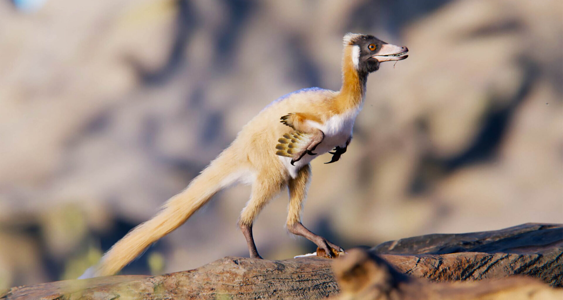 Fossil find reveals how strange bird-like dinosaurs evolved