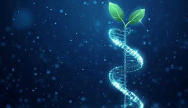 Ancient DNA Switches Found in Plants After 400 Million Years