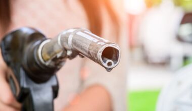 How much petrol and diesel New Zealand has in reserve