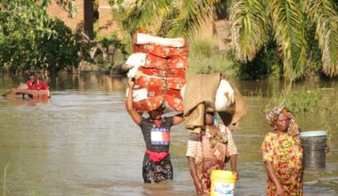 Climate Change Alters Tanzania's Disease Landscape: Rising Health Threats