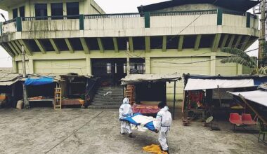 Study Reveals Most Pandemic Viruses Jump to Humans Without Prior Adaptation