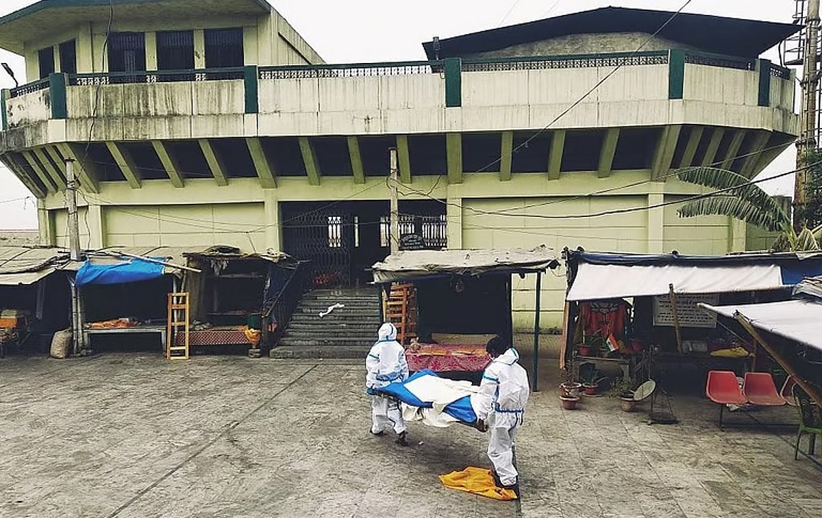 Study Reveals Most Pandemic Viruses Jump to Humans Without Prior Adaptation