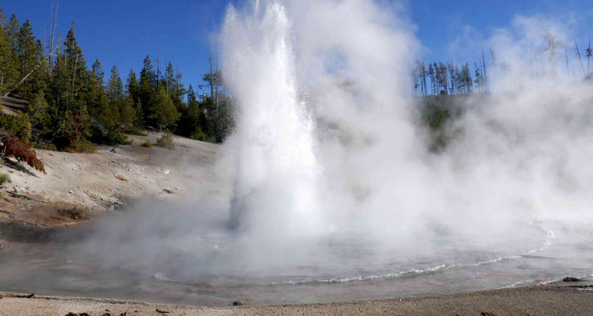 Rare 'acid geyser' in Yellowstone forcefully erupts after long silence