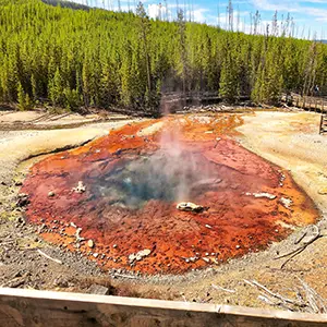 Very colorful and acidic Echinus Geyser in the Norris Geyser Basin in Yellowstone National Park Wyoming