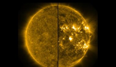 NJIT Physicists Trace Sun’s Magnetic Engine, 200,000 Kilometers Below Surface