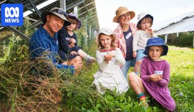 Goulburn community solar farm plugs in after 12-year journey