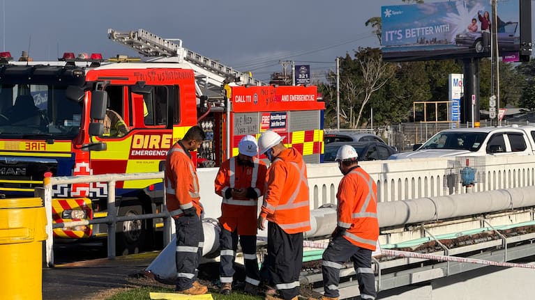 Emergency services at the scene near U-Go in Manurewa.