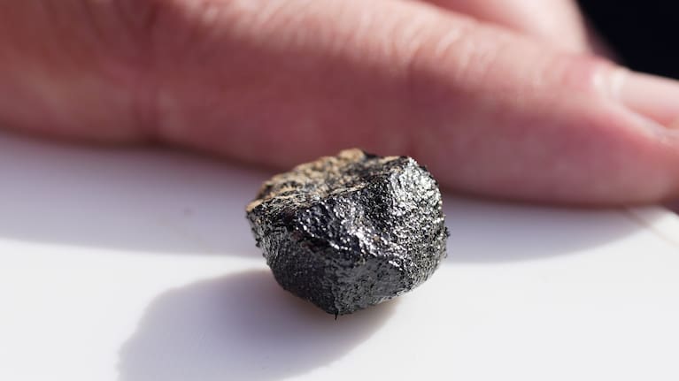 eteorite hunter Roberto Vargas, of Connecticut, displays one of the meteorites he found in Sharon Center, Ohio, Thursday, March 19, 2026, after a meteor crashed March 17. 