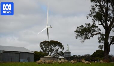 WA shires say renewable community benefit fund needs to be mandatory