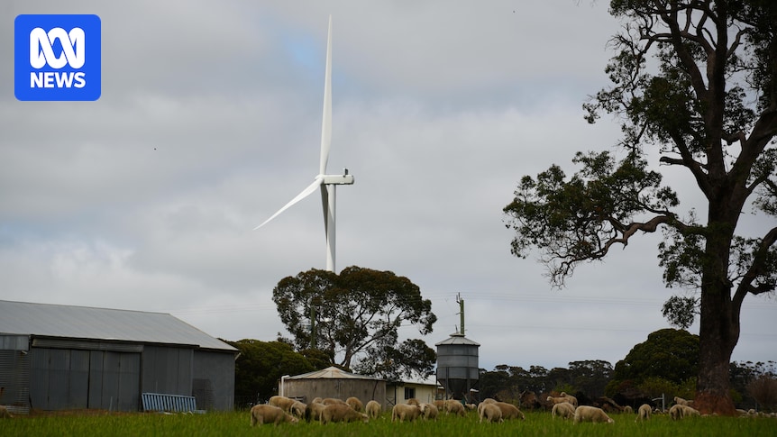 WA shires say renewable community benefit fund needs to be mandatory