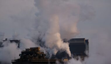 Big EU lobby groups exaggerated industry support for attack on carbon price – POLITICO