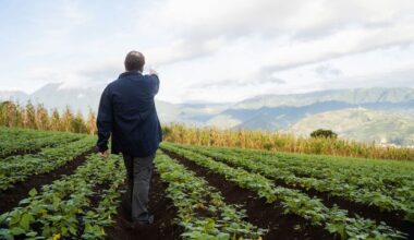 Crop Viruses Traced Back to Last Ice Age