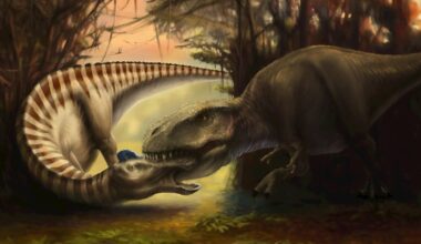 What bite marks on a dinosaur fossil tell us about the T. rex’s eating habits