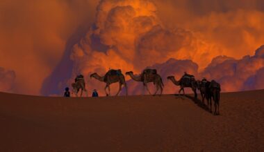 Most Saharan dust is generated by ‘hidden thunderstorms’ high above the desert