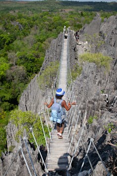 A tourist walks over a slatted wooden bridge strung over a canyon in the forest.
