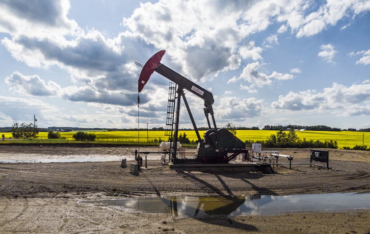 A pumpjack draws out oil and gas from a well head with a Canola field in the background