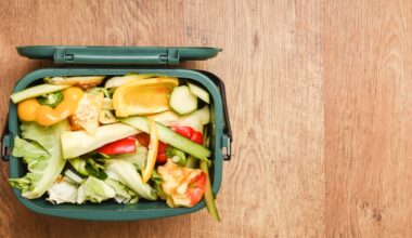 As that new food caddy lands, here’s how to reduce waste – not just recycle it