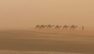 Climate change is altering Saharan dust – and Europe is downwind