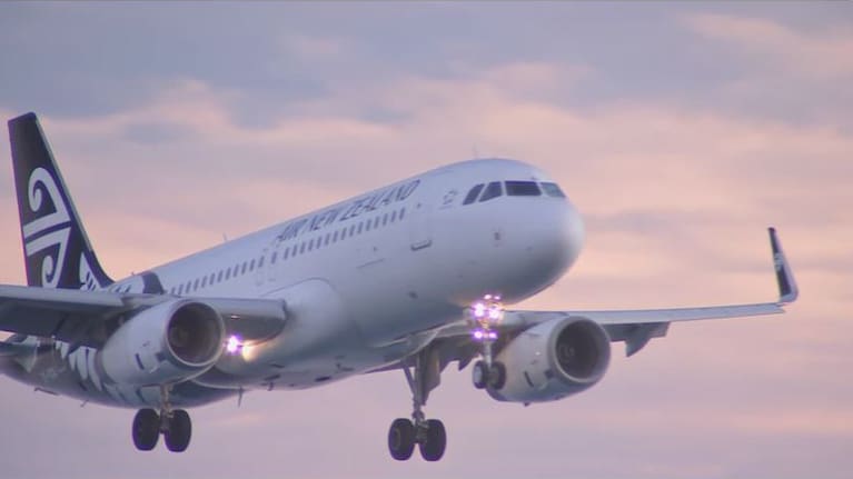 File image of an Air New Zealand plane.