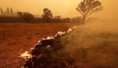 Heat waves that spark damaging droughts happening more frequently