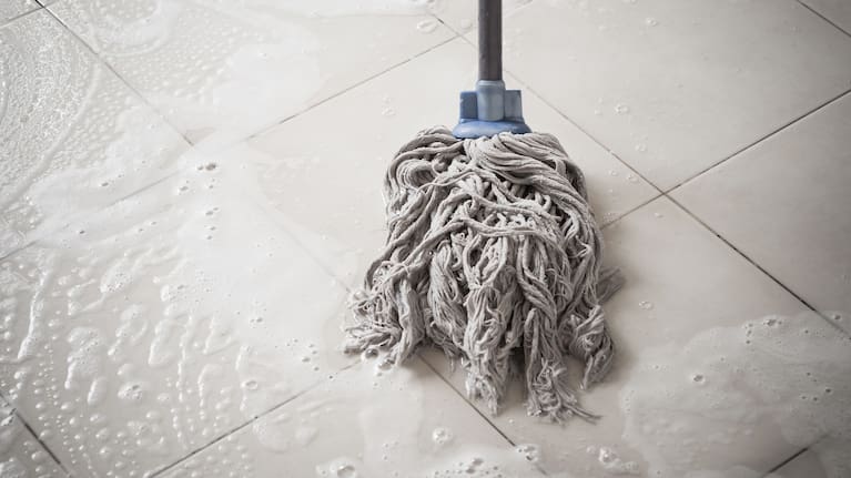 In one case, an adjudicator said the evidence did not prove the damage to the mop and bucket was more than normal wear and tear (file image).