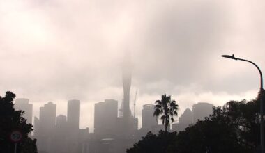 Fog restrictions lifted after Auckland flight cancellations