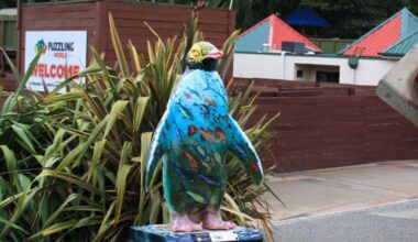 Penguin statues draw attention to hoiho plight