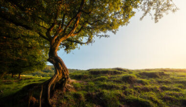 Why Technical Perfection Doesn't Equal Great Landscape Photos