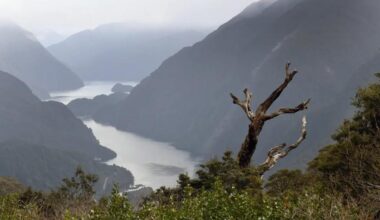 Southland tsunami warnings may not have time to trigger