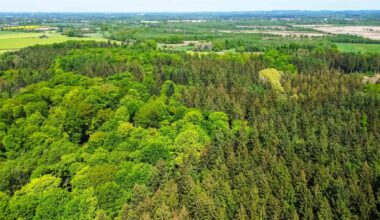 Aerial view of dense mixed forest in Germany, illustrating research on how forest soils respond to climate change and absorb methane.