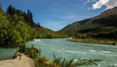 QLDC picks ‘compromise’ solution for wastewater disposal