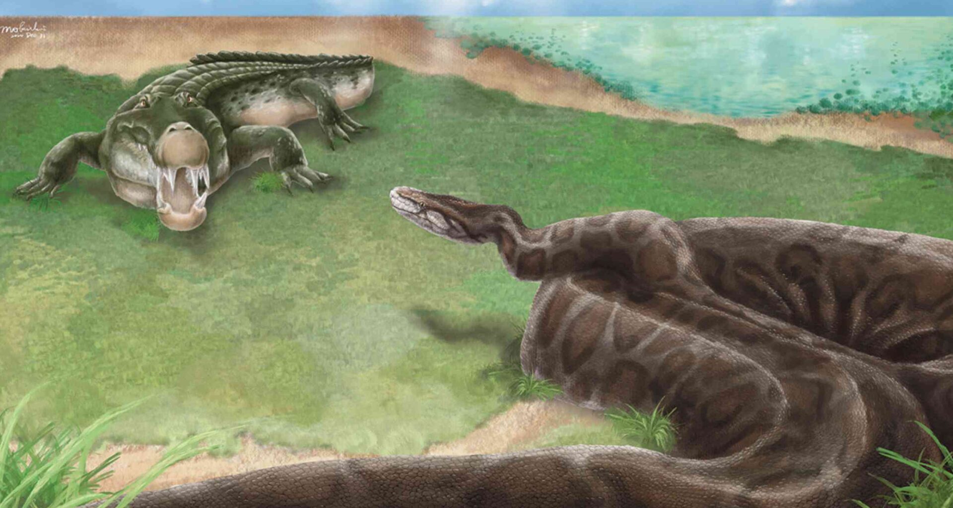 Giant python snake species over 13 feet long discovered in Taiwan