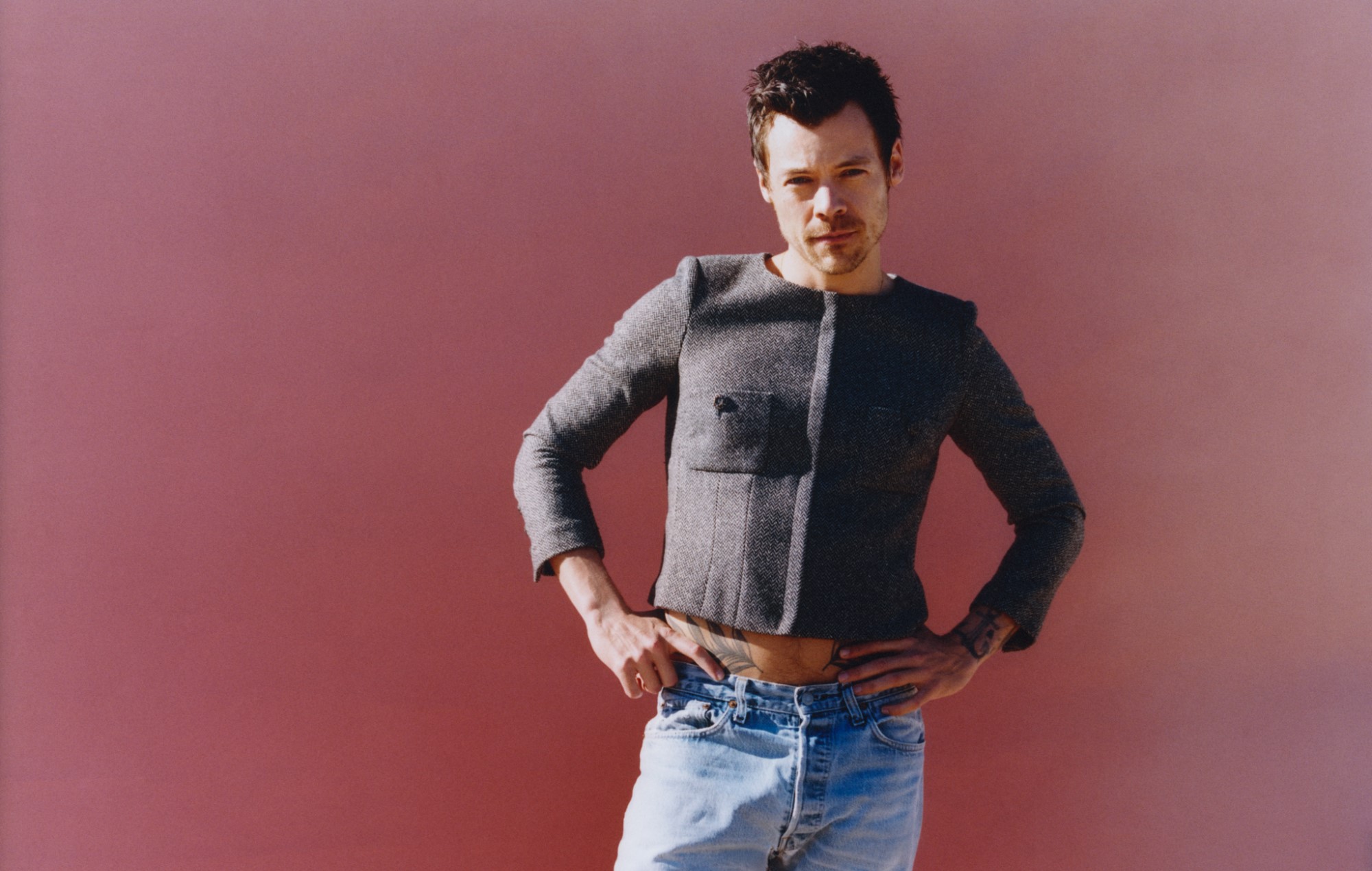 harry styles review