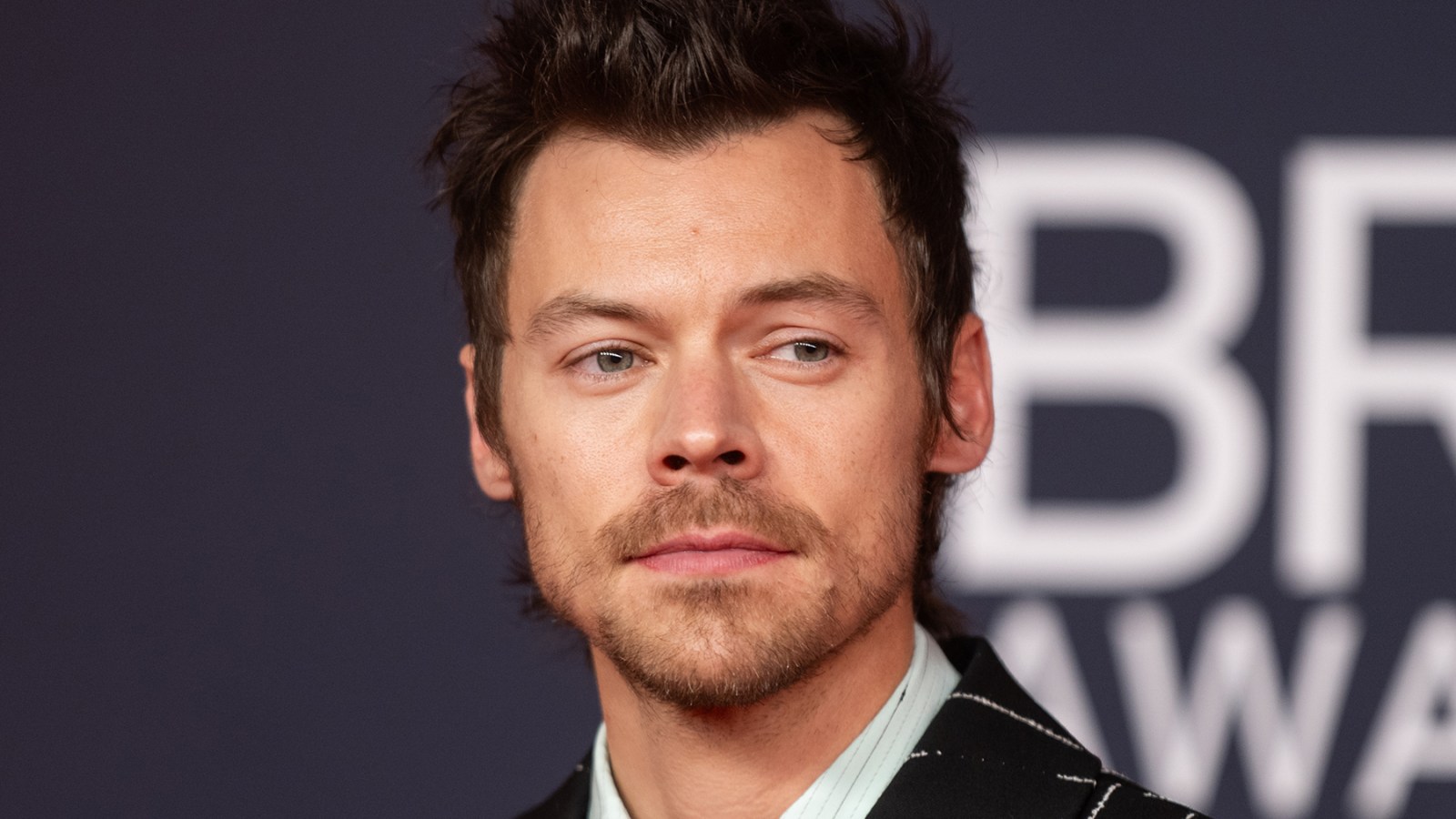 Harry Styles Reflects on Difficult Death of One Direction's Liam Payne