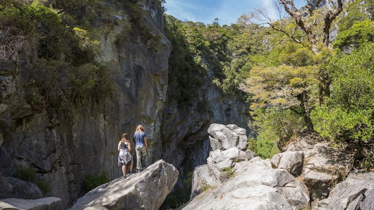Harwoods Hole is the country's deepest natural vertical shaft, but the track to the site has been closed by DOC due to safety risk.
