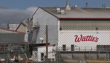 Heinz Wattie's looks to ditch frozen veges, 350 jobs affected