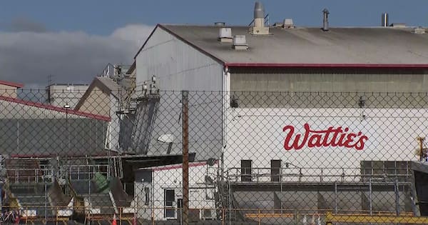 Heinz Wattie's looks to ditch frozen veges, 350 jobs affected