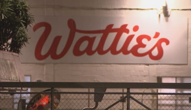 Wattie's boss says closures due to 'a perfect storm' of factors