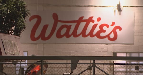 Wattie's boss says closures due to 'a perfect storm' of factors