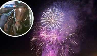 Push to ban fireworks on Tauranga beaches and other public places