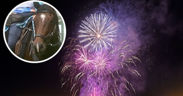 Push to ban fireworks on Tauranga beaches and other public places