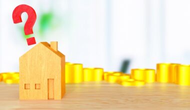 Can the NZ economy 'go it alone'?