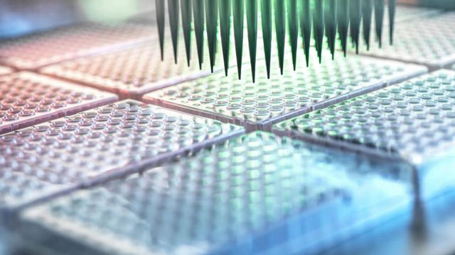 HTS Automation in High-Throughput Screening Workflows