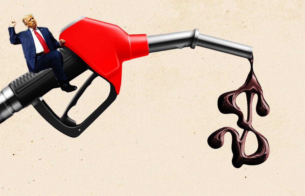 Everything Trump Touches Dies: Oil Edition