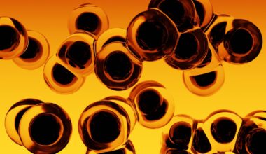 Rejuvenating hematopoietic stem cells to extend health and lifespan