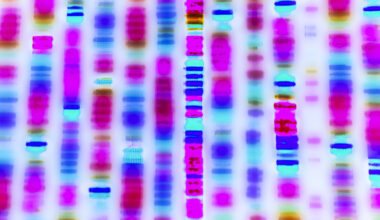 Guided regeneration via embedded intelligence of engineered endosymbionts