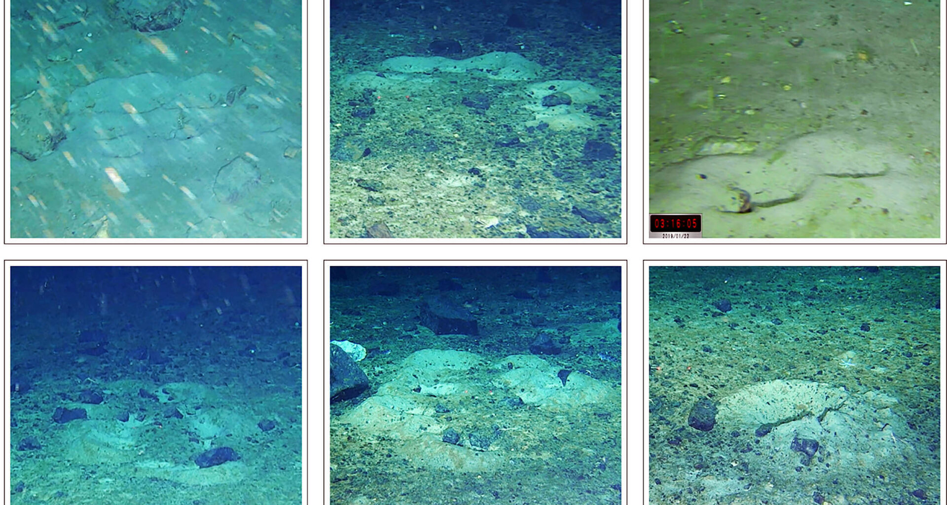 Robot finds thousands of nests found under the Antarctic ice