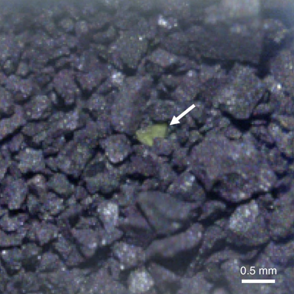 A carbonate-rich grain in the sample of material from the near-Earth asteroid Ryugu. Image credit: Pilorget et al., doi: 10.1038/s41550-021-01549-z.