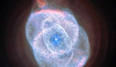 In this image, Hubble captures the very core of the billowing gas in the Cat’s Eye Nebula. Image credit: NASA / ESA / Hubble / Z. Tsvetanov.