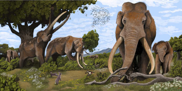 Straight-tusked elephants (Palaeoloxodon antiquus) were the largest land mammals of the European Pleistocene. Image credit: Hodari Nundu, CC-BY-4.0.